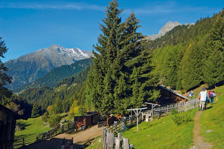 Nel parco naturale del Gruppo di Tessa vicino a Merano