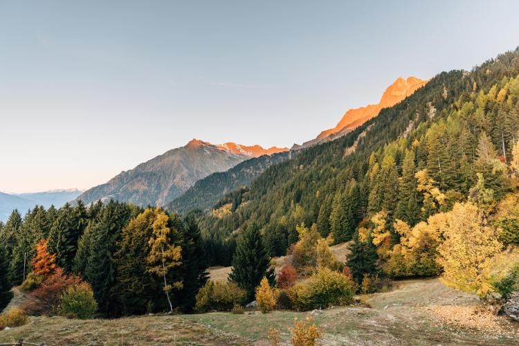 Il parco naturale del Gruppo di Tessa