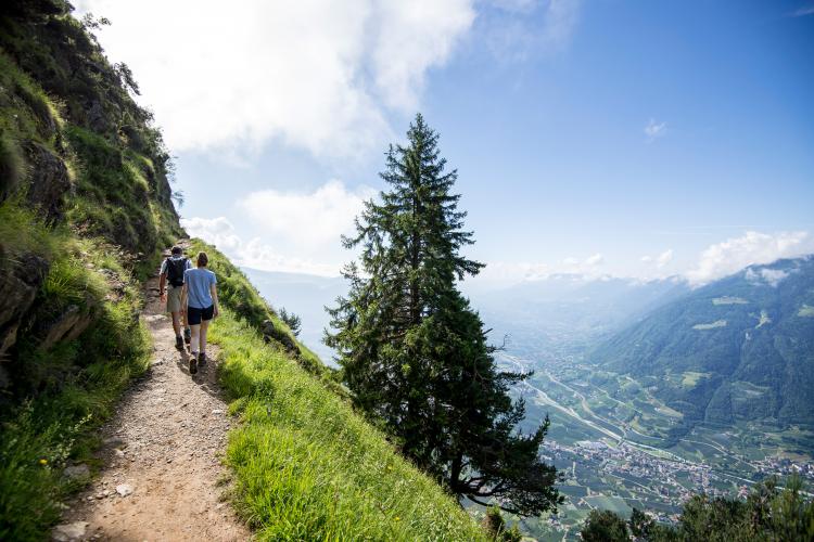 Hans Frieden Weg zu Leiter Alm