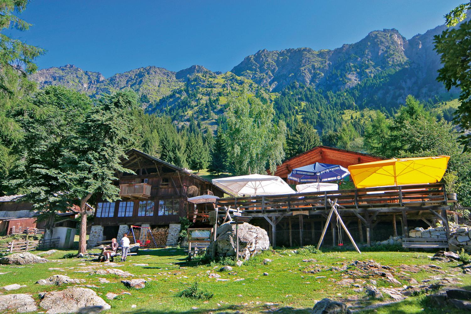 Die Leiter Alm und die Berge der Texelgruppe